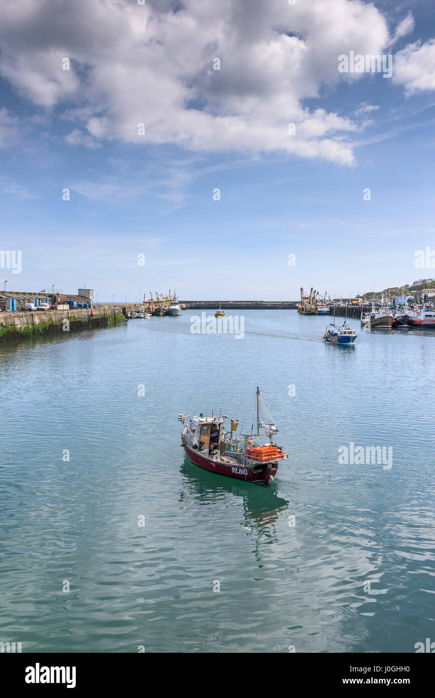 Newlyn; Fishing Port; PZ810 Alvic; Fishing boat; Fishing vessel; Leaving; Harbour; Harbor; Harbor; Fishing industry; Coast; Coastal scene; Low tide Stock Photo