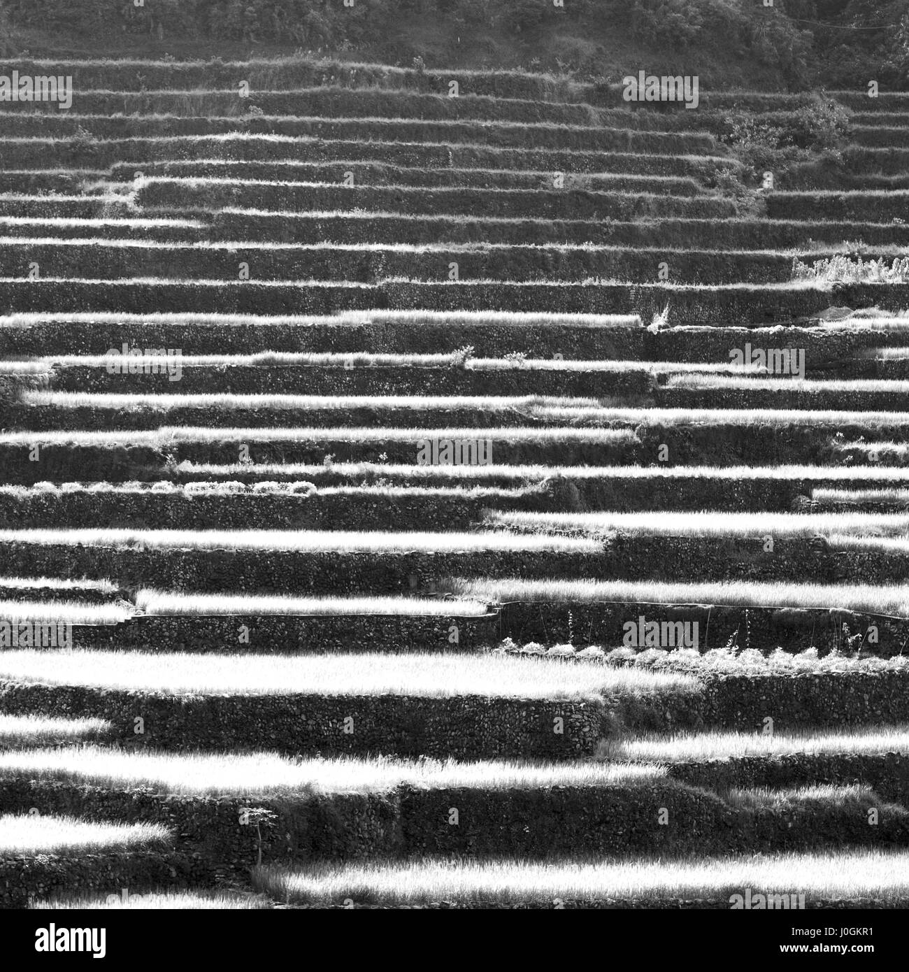 Philippines unesco Black and White Stock Photos & Images - Alamy