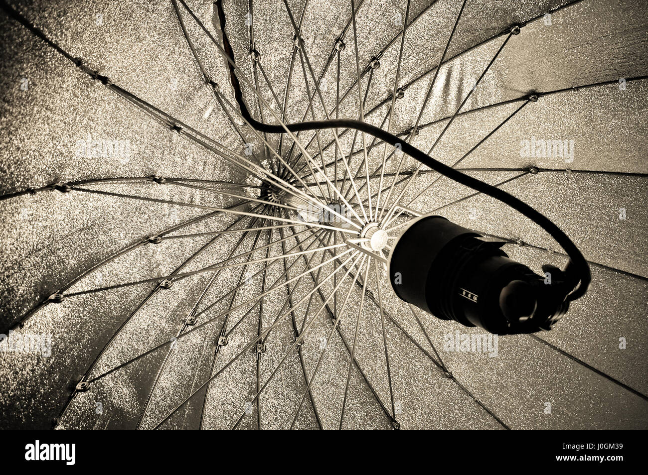 photographic studio strobe lighting and reflective umbrella Stock Photo