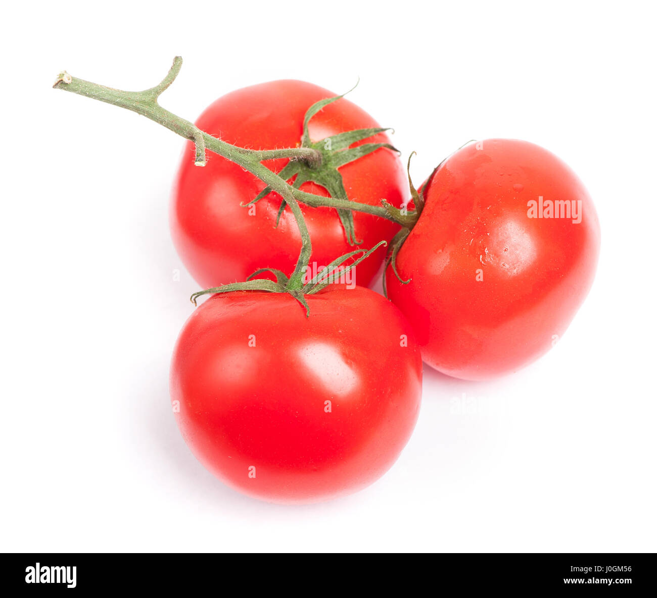 Branch of tomatoes isolated on white background Stock Photo - Alamy