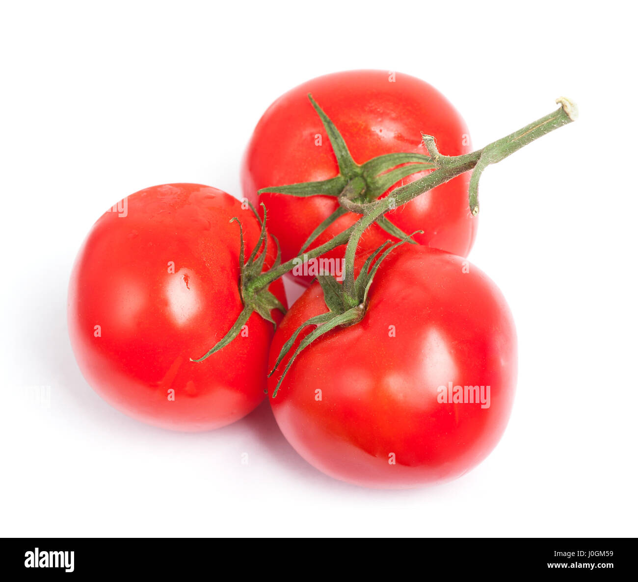 Branch of tomatoes isolated on white background Stock Photo - Alamy