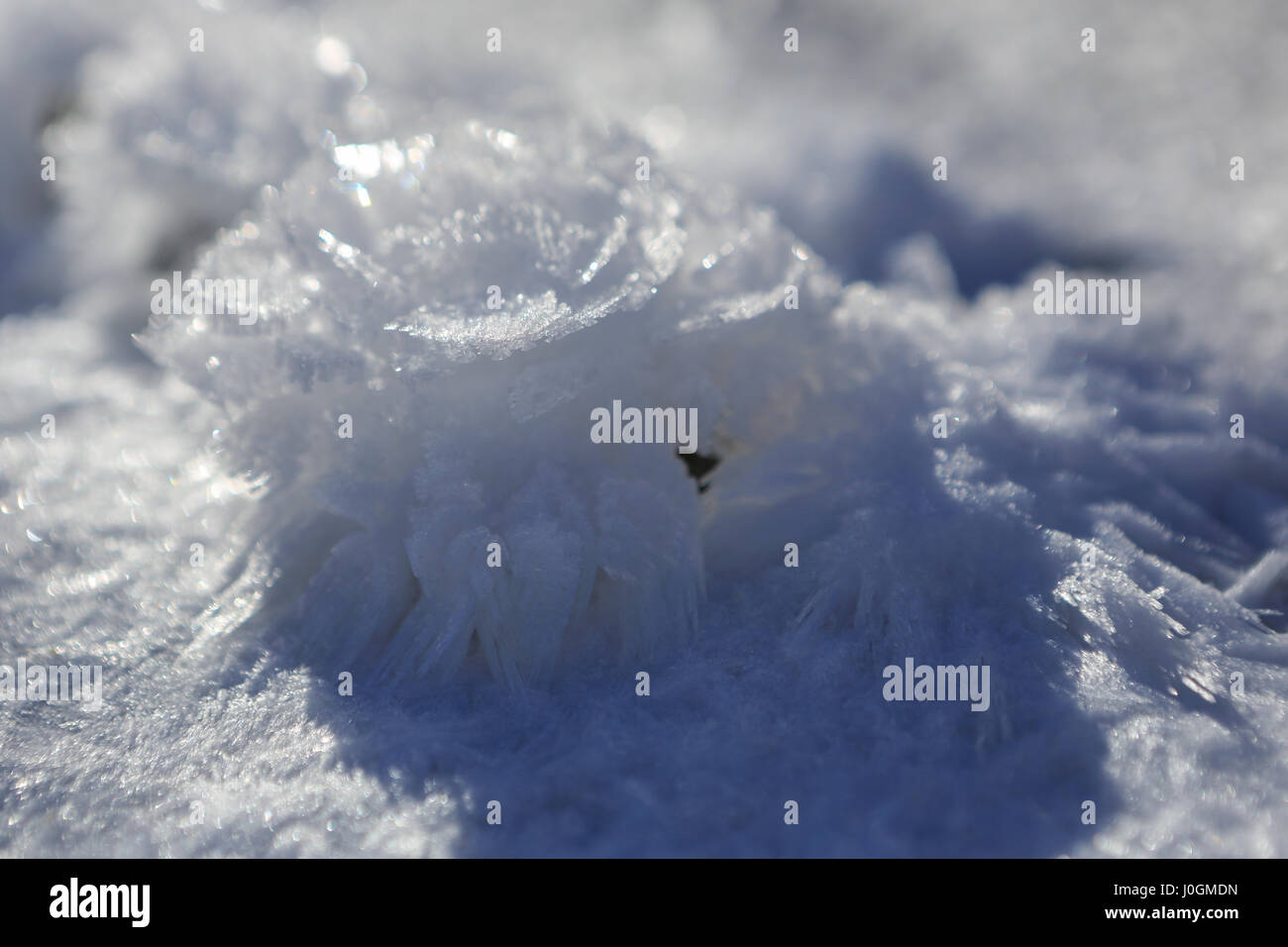 Snow crystals in the form of a flower. Stock Photo