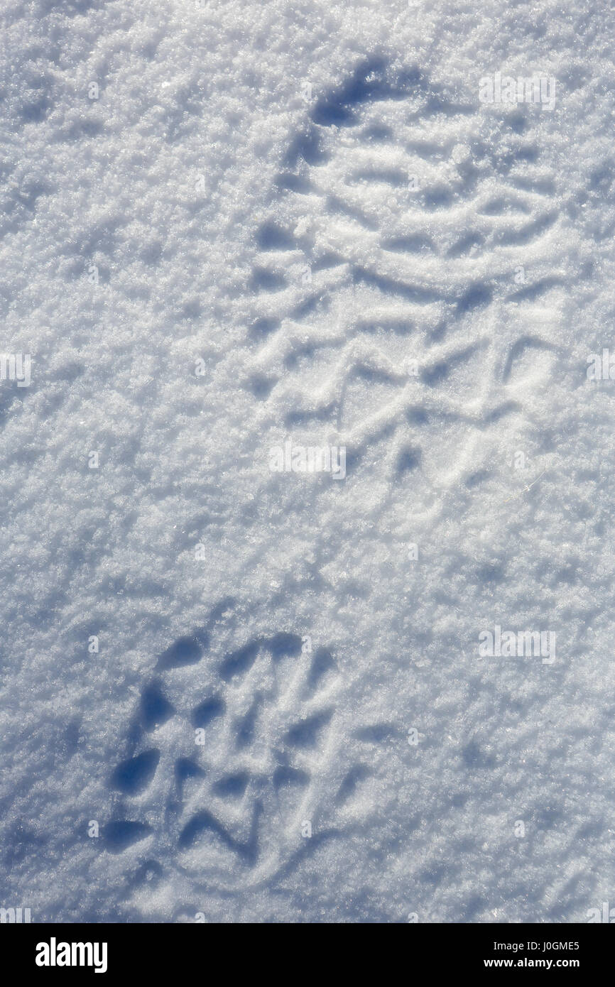 Traces from boots on snow, background Stock Photo - Alamy