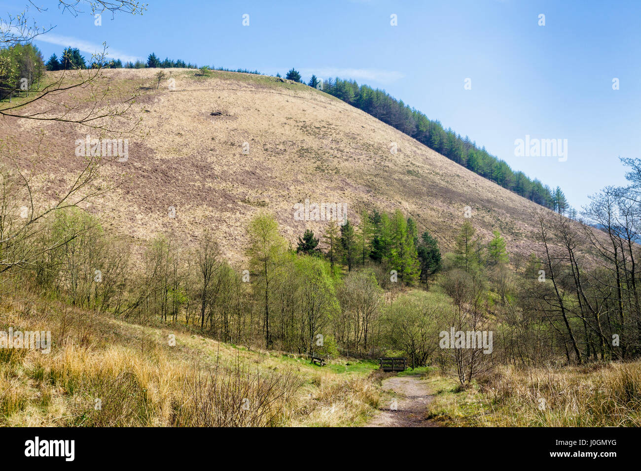 The hills above Blaenclydach in the Rhondda Valley, south Wales Stock Photo