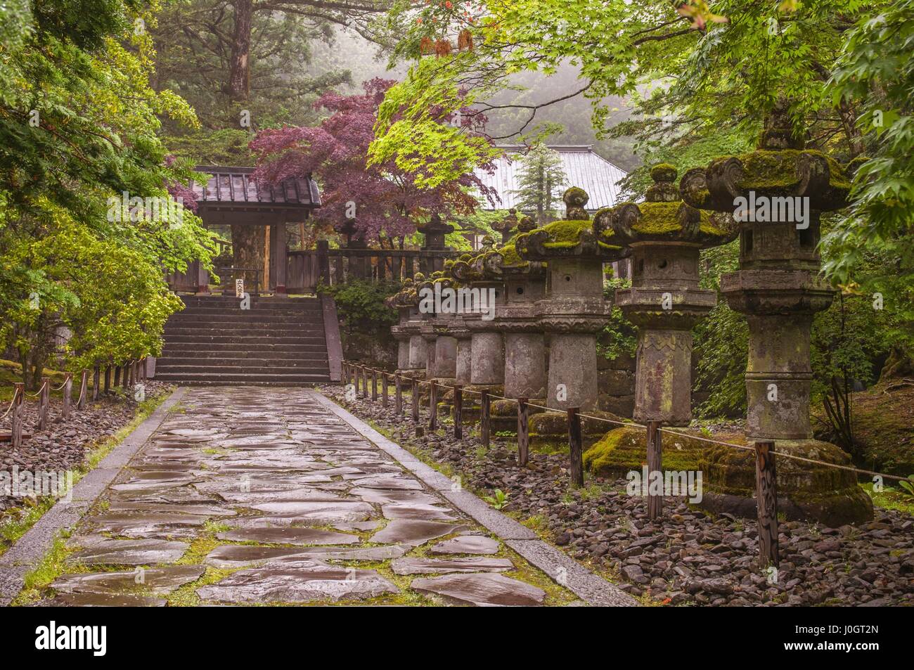 Stone lanterns on the side of Toshogu Shrine that lead the way to Futarasan Shrine in Nikko, Tochigi, Japan Stock Photo