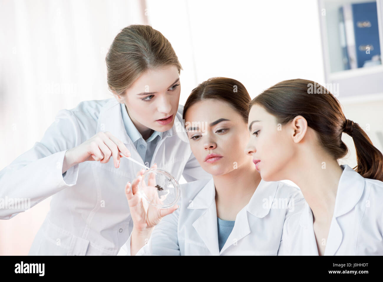 Three young female scientists examining sample of soil in laboratory ...