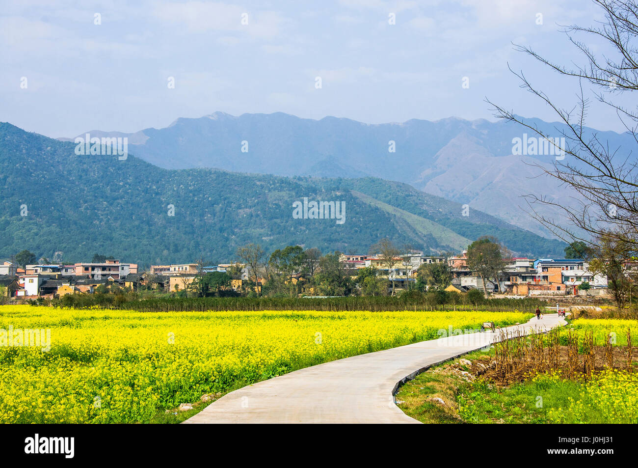 The countryside road scenery in spring Stock Photo - Alamy