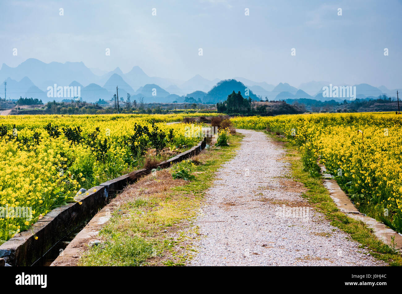 The countryside road scenery in spring Stock Photo - Alamy