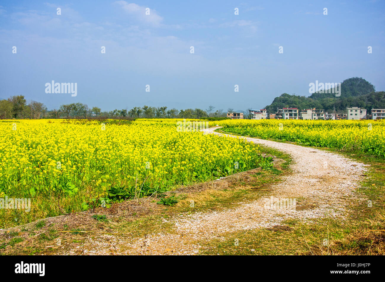 The countryside road scenery in spring Stock Photo - Alamy