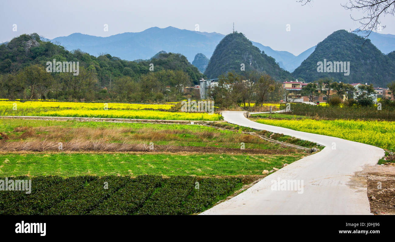 The countryside road scenery in spring Stock Photo - Alamy