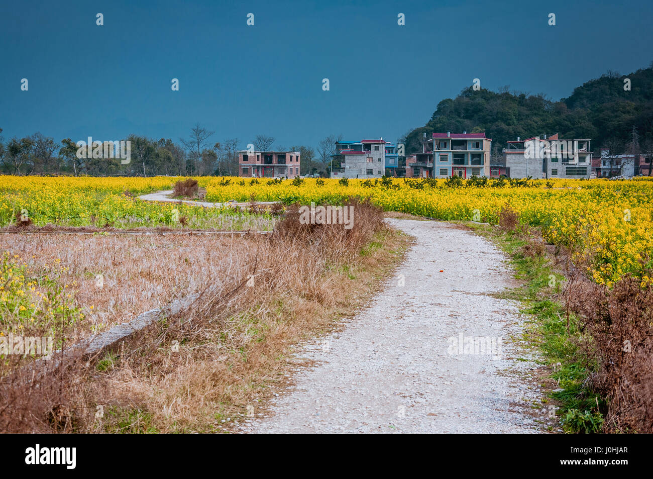 The countryside road scenery in spring Stock Photo - Alamy