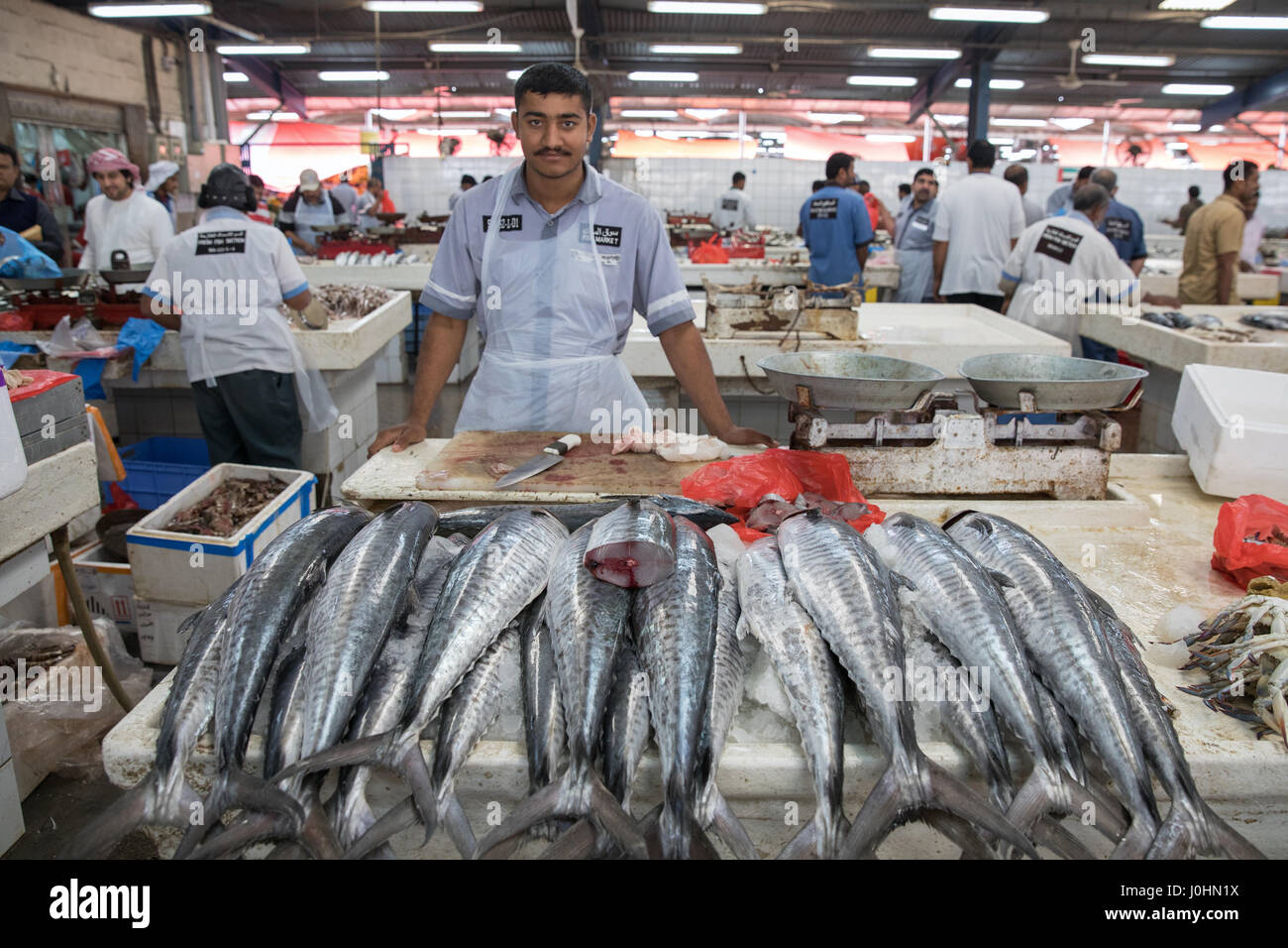 Deira fish market in Dubai Stock Photo Alamy
