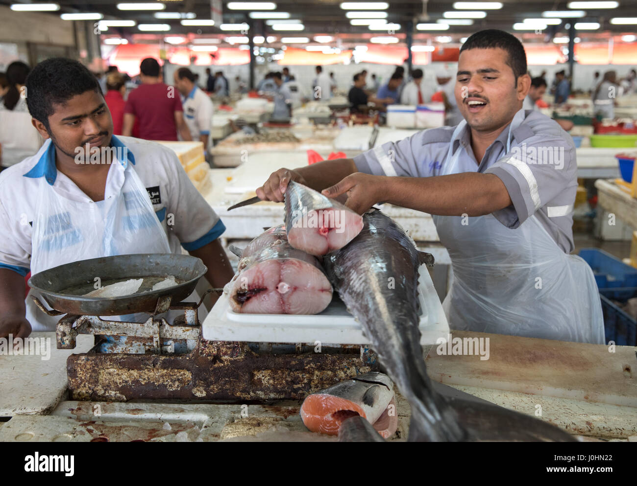 Deira fish market in Dubai Stock Photo Alamy
