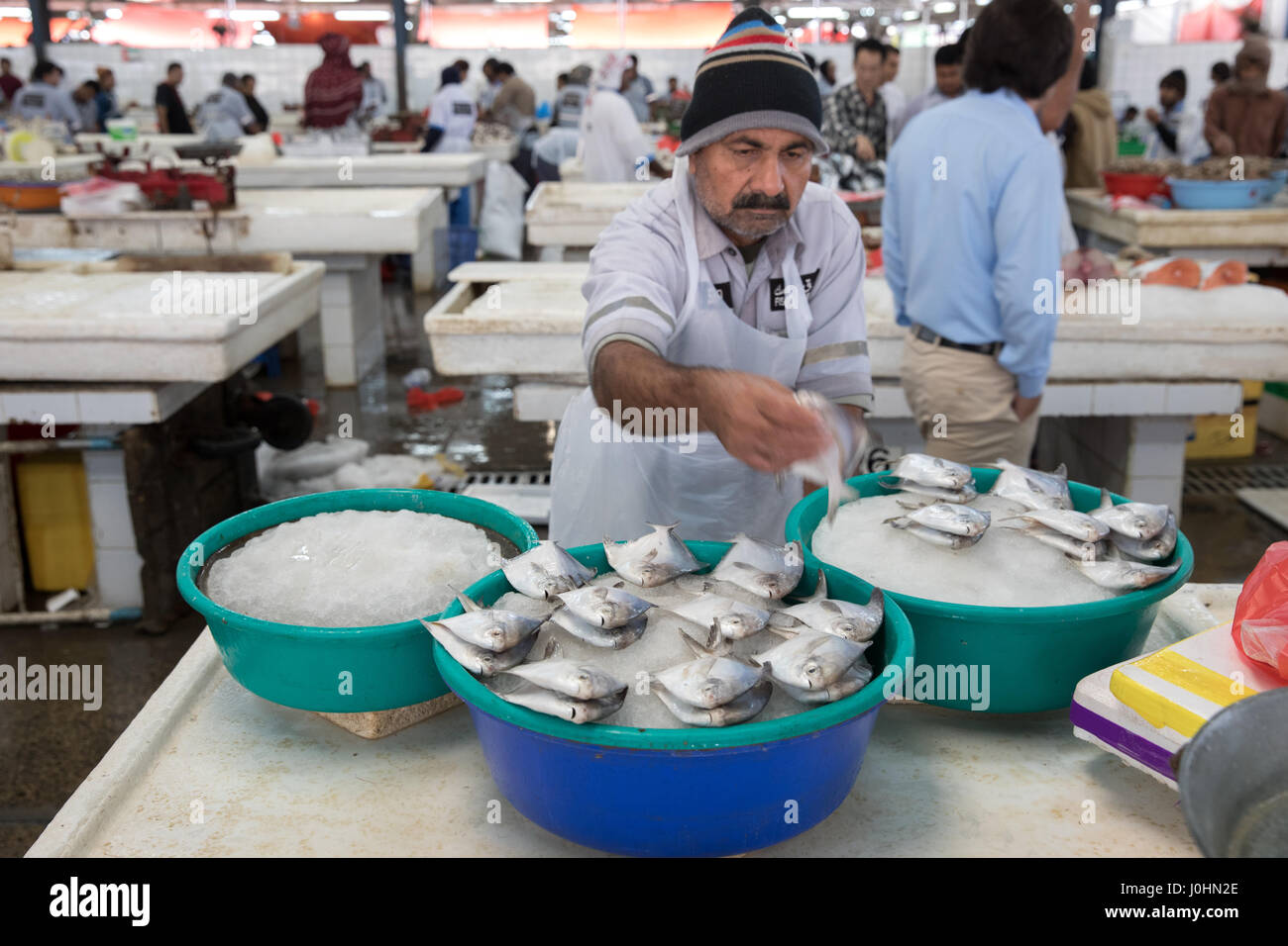 Deira fish market in Dubai Stock Photo Alamy