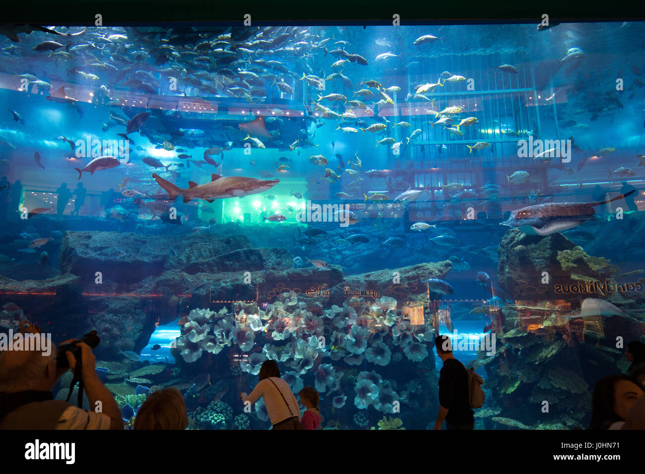 The Dubai Aquarium and underwater zoo. Dubai Stock Photo