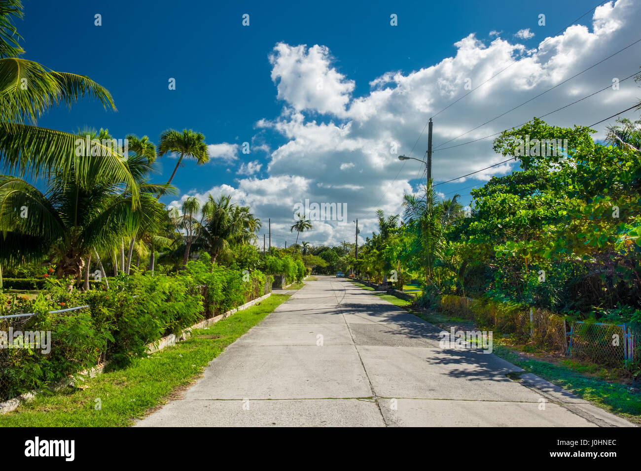 Street in the Caribbean with a lush vegetation on both side of the road, Grand Cayman,  Cayman Islands Stock Photo