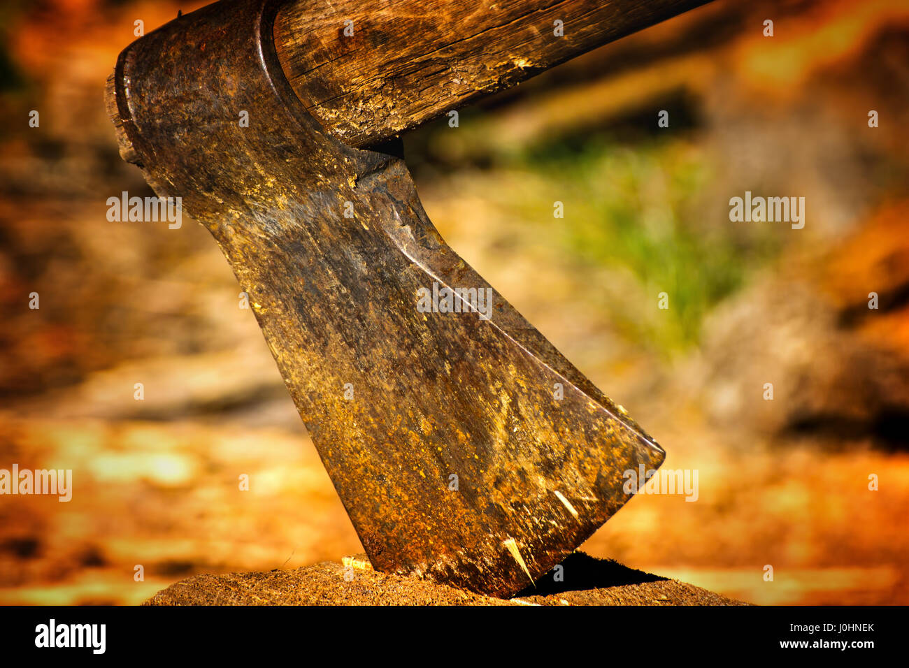 An axe embedded in a tree stump in rural Georgia. Stock Photo