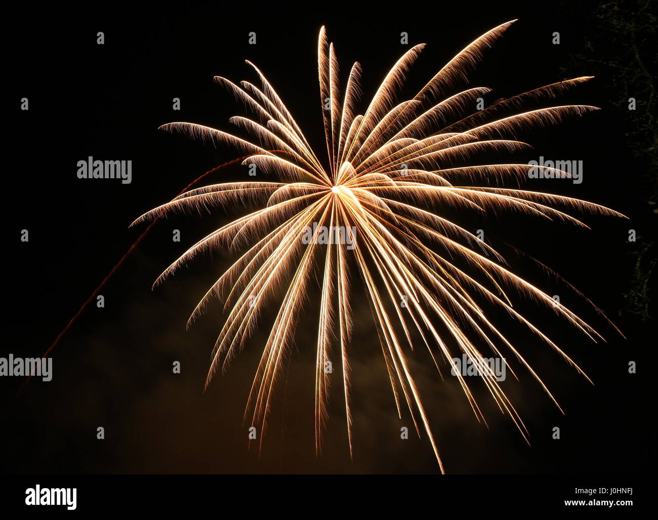 Long exposure photograph of a golden firework burst, against a black night sky background. Light painting photography of a fire work on bonfire night. Stock Photo