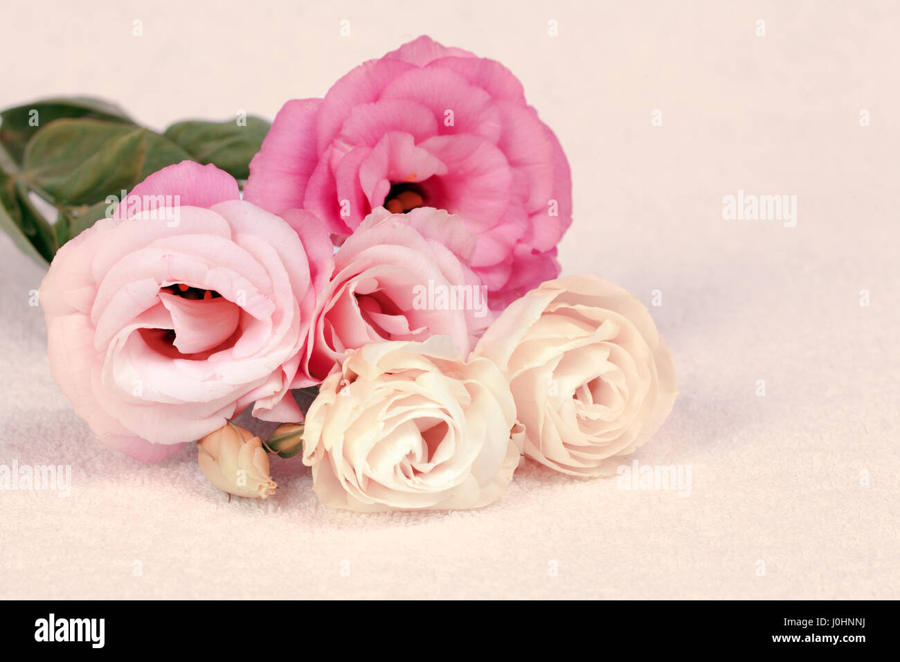 Bouquet of flowers on white blanket. Stock Photo