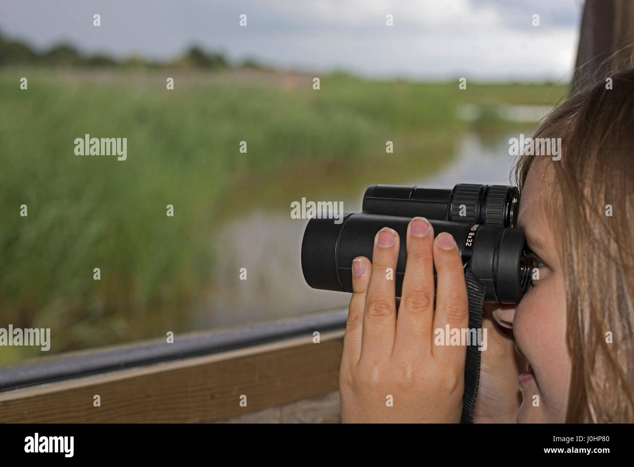 Young girl (aged 10) bird watching at Minsmere RSPB Reserve summer (Model released) Stock Photo