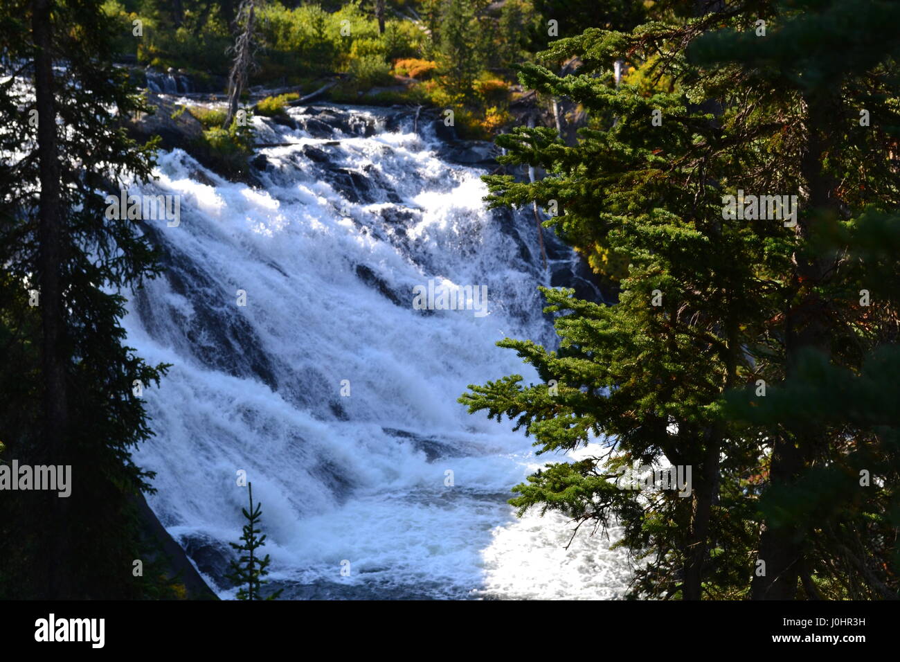 Waterfall in Yellowstone National Park Stock Photo