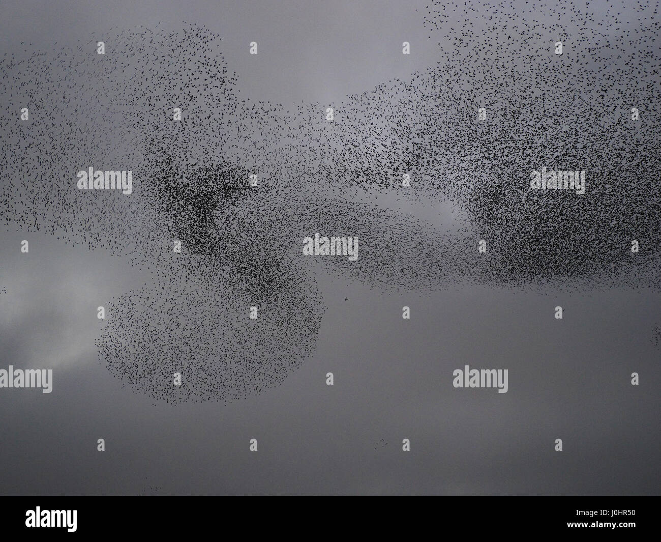 Disrupted pattern hi-res stock photography and images - Alamy