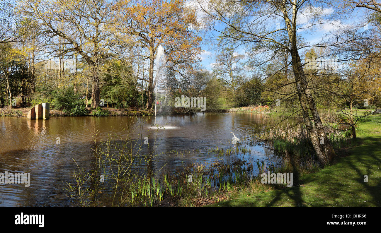 Lake scene with fountain, heron and sculpture at South Hill Park, Bracknell, Berkshire UK Stock Photo