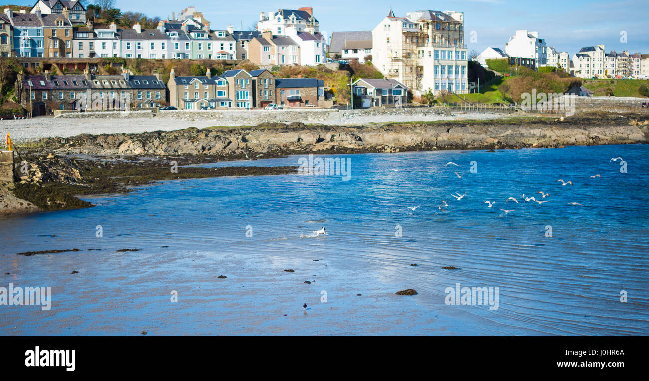 Port St Mary Bay, view from the harbour, Isle Of Man Stock Photo