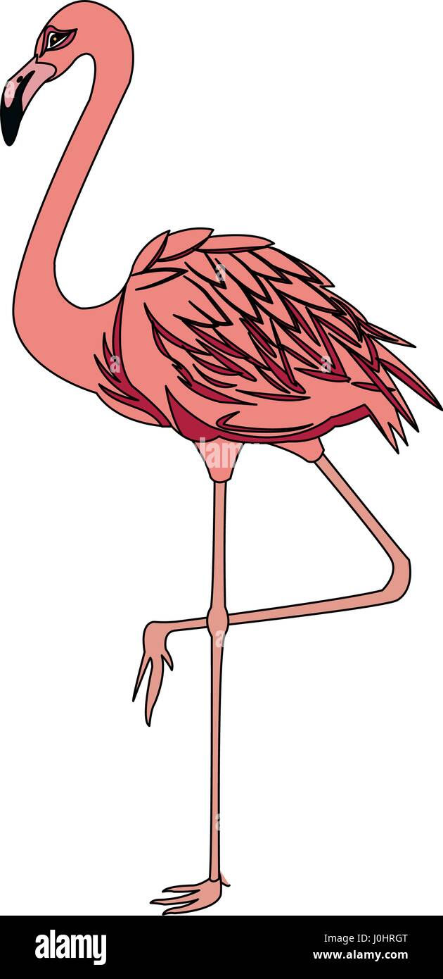 flamingo bird icon image Stock Vector Image & Art - Alamy