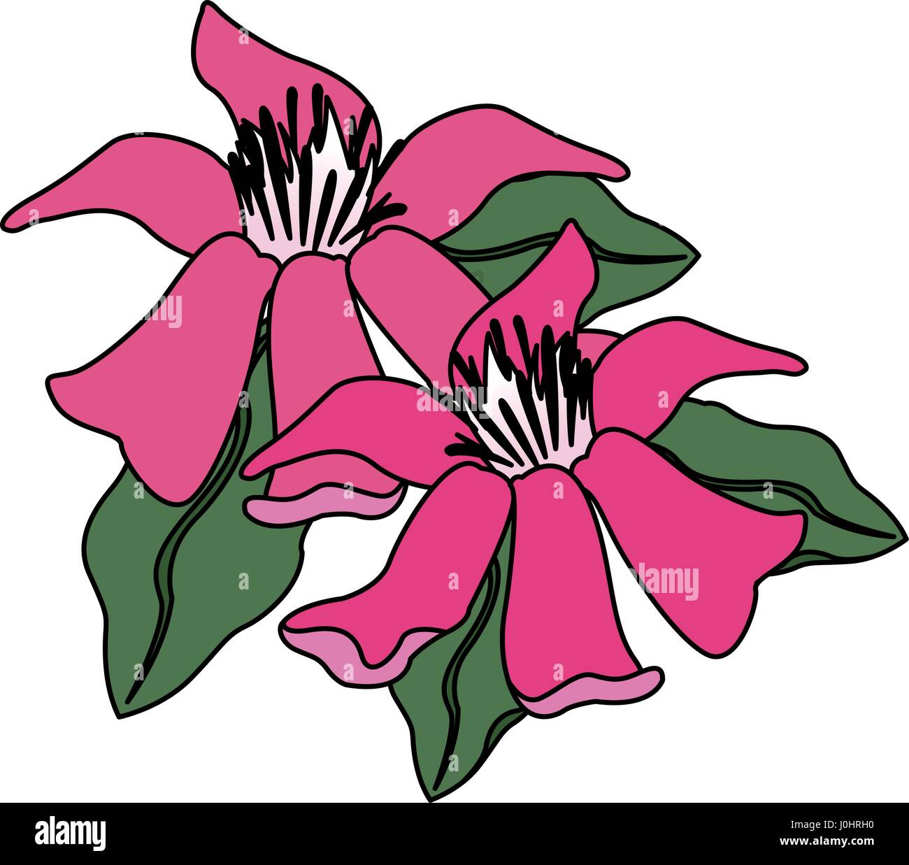 flower icon image Stock Vector Image & Art - Alamy
