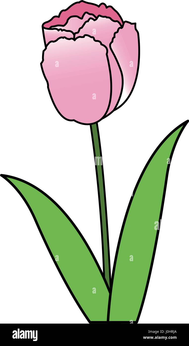 flower icon image Stock Vector Image & Art - Alamy