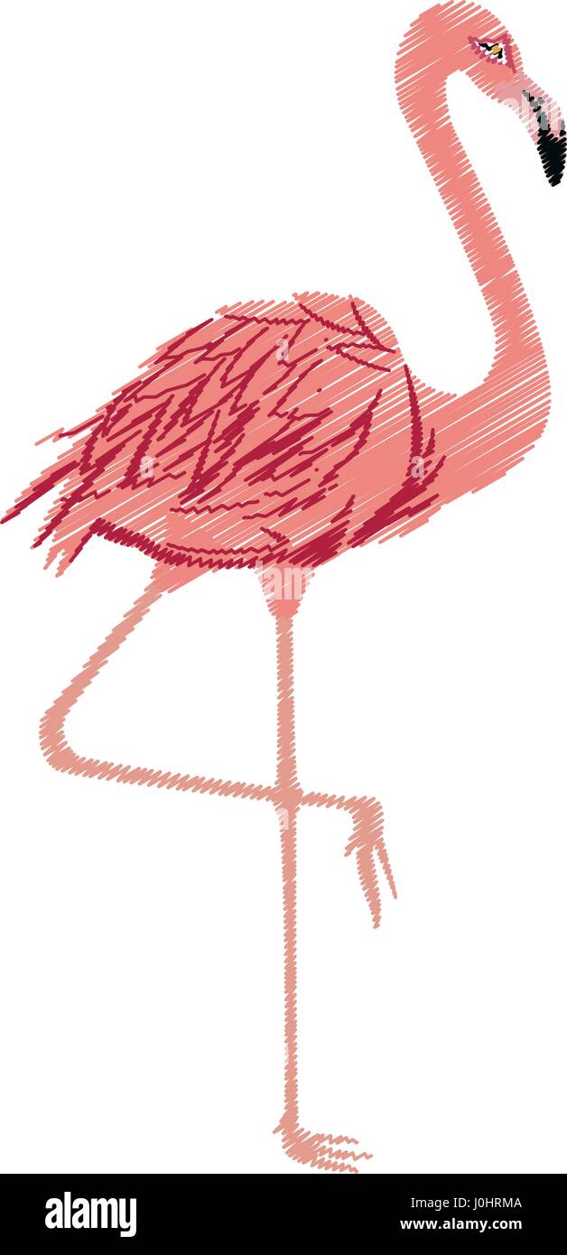 flamingo bird icon image Stock Vector Image & Art - Alamy
