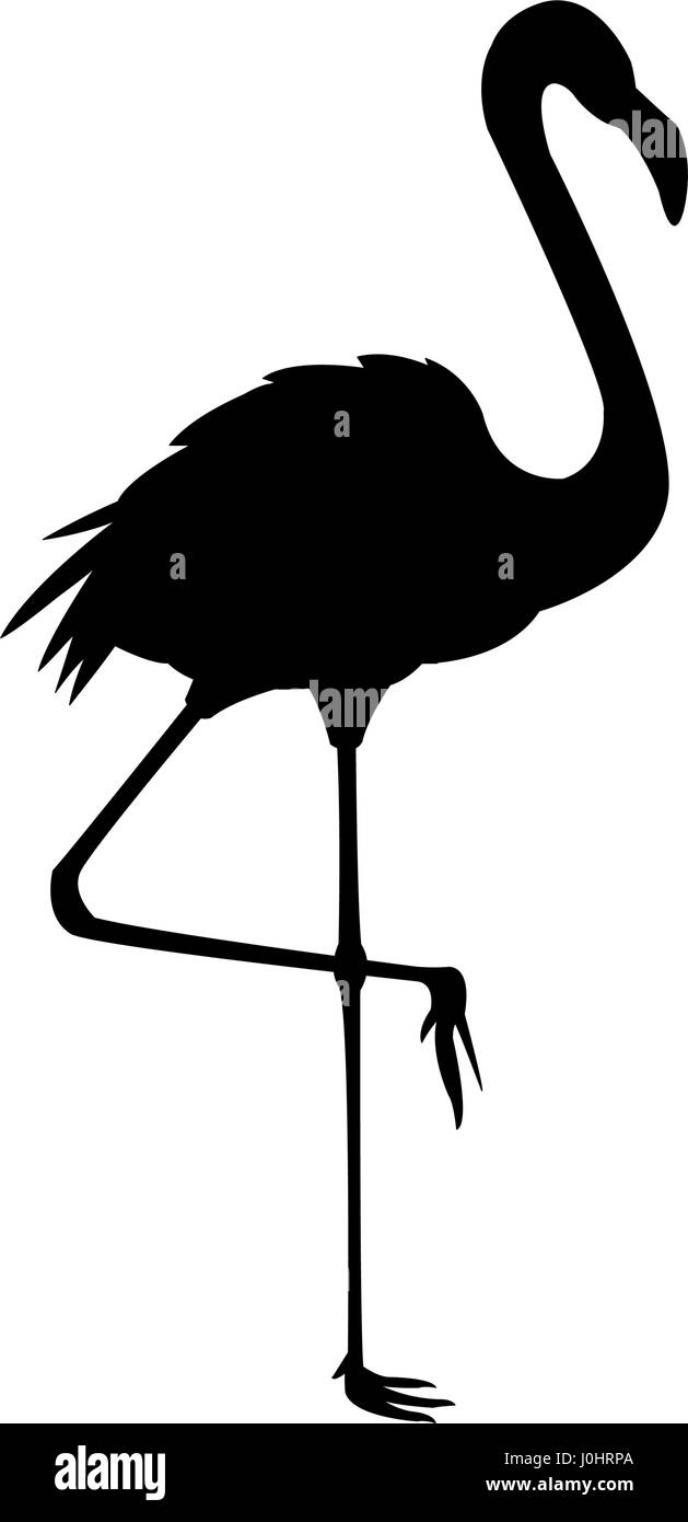 flamingo bird icon image Stock Vector Image & Art - Alamy