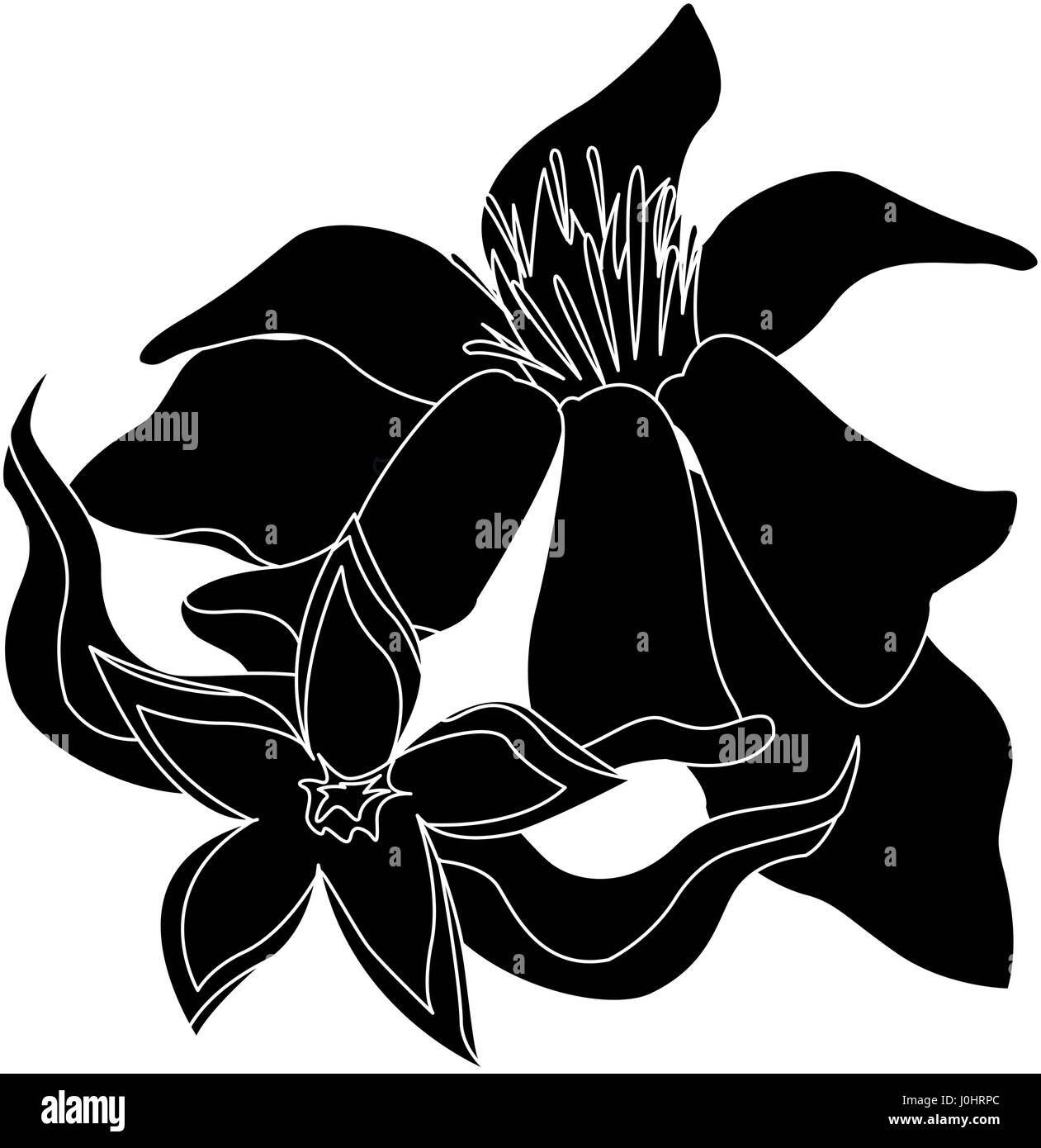 delicate flower icon image Stock Vector Image & Art Alamy