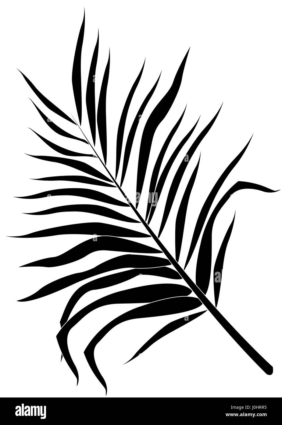 single tropical leaf icon image Stock Vector Image & Art - Alamy