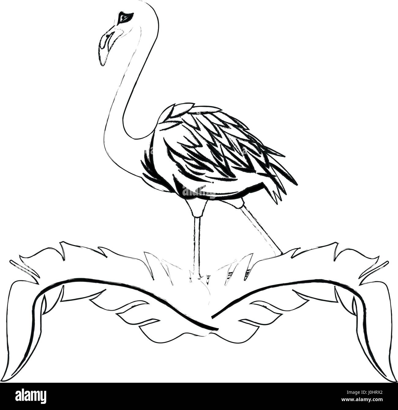 flamingo bird icon image Stock Vector Image & Art - Alamy