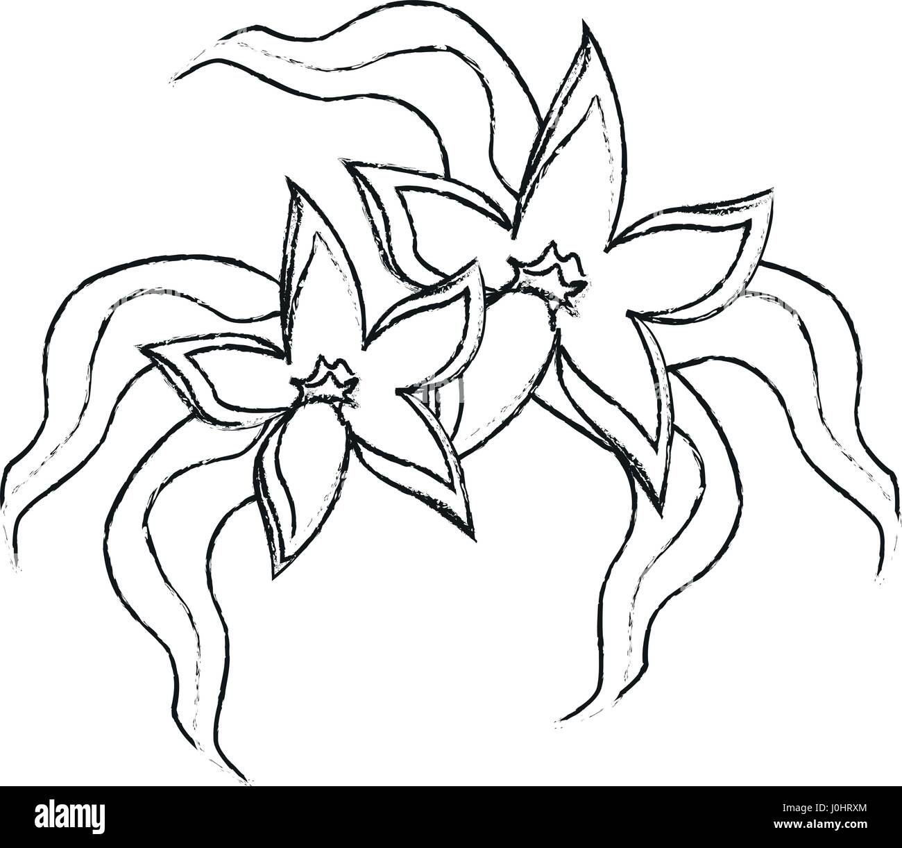 delicate flower icon image Stock Vector Image & Art Alamy