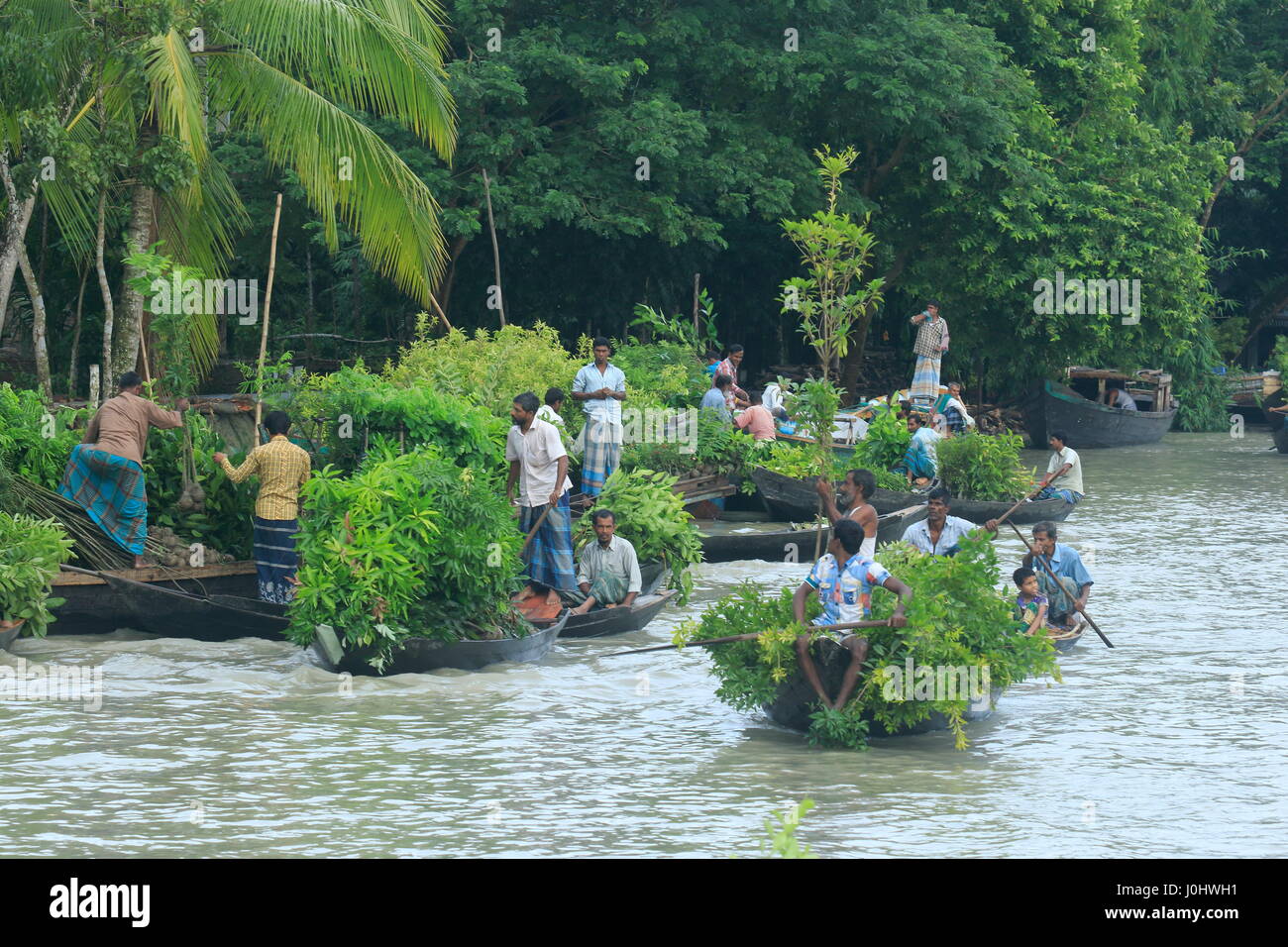 Wholesale Nursery High Resolution Stock Photography and Images Alamy