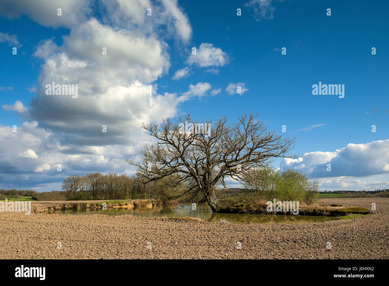 Natural spring-fed pond in farmland - France. Stock Photo
