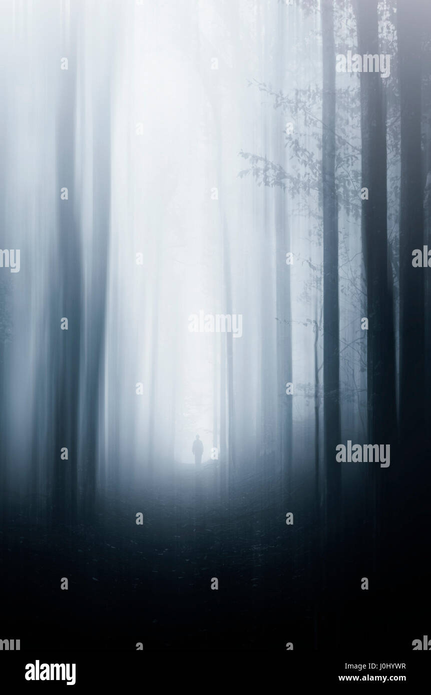 scary Halloween forest with fog and creative movement effect Stock Photo