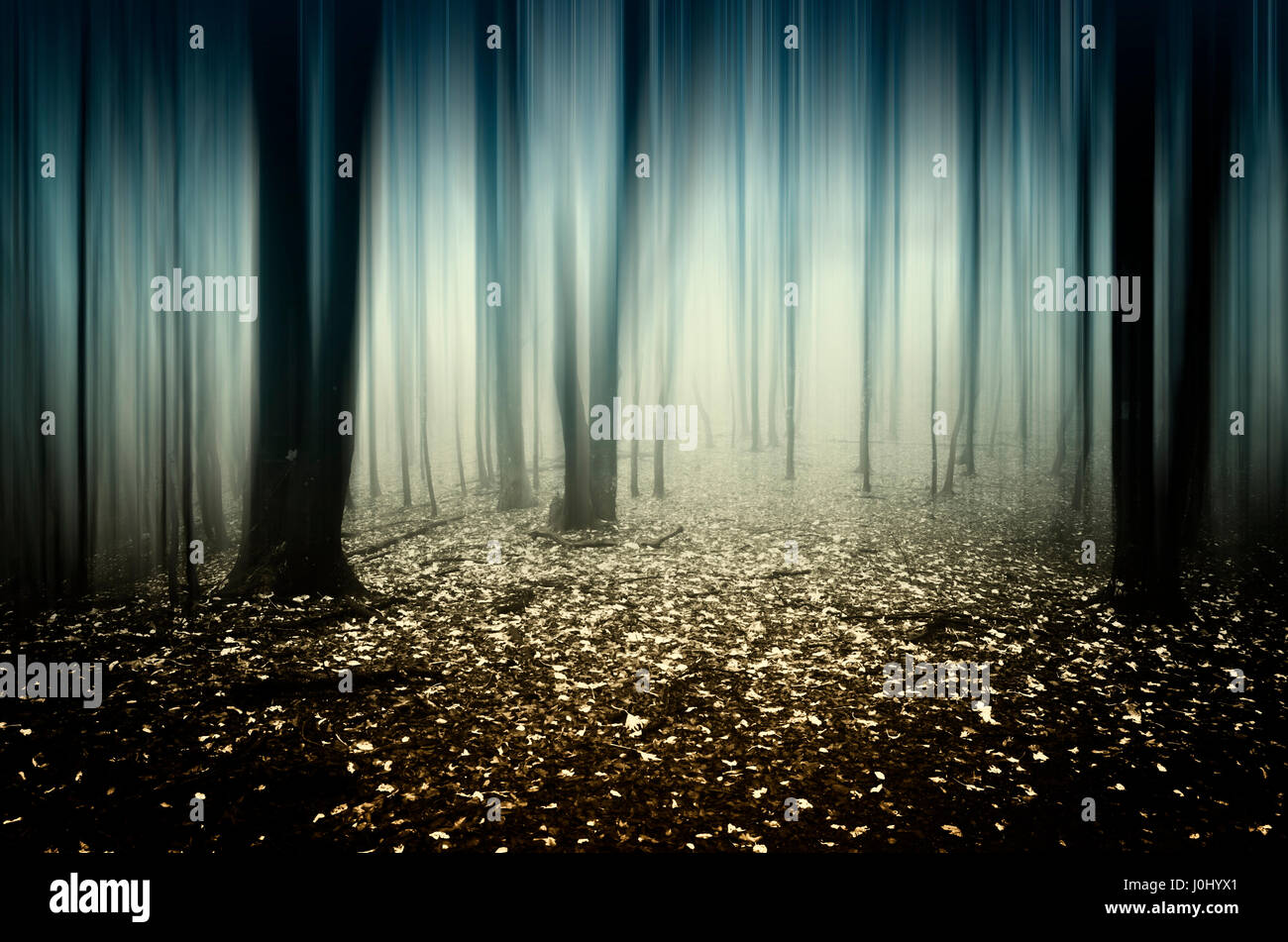 surreal fantasy forest background with motion blur Stock Photo