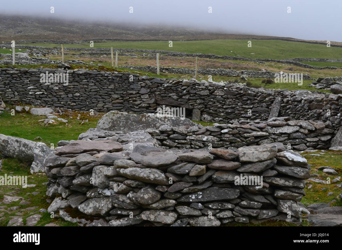 Ruins of Clochan beehive huts found in Southwestern Ireland on the Dingle Penninsula. Stock Photo