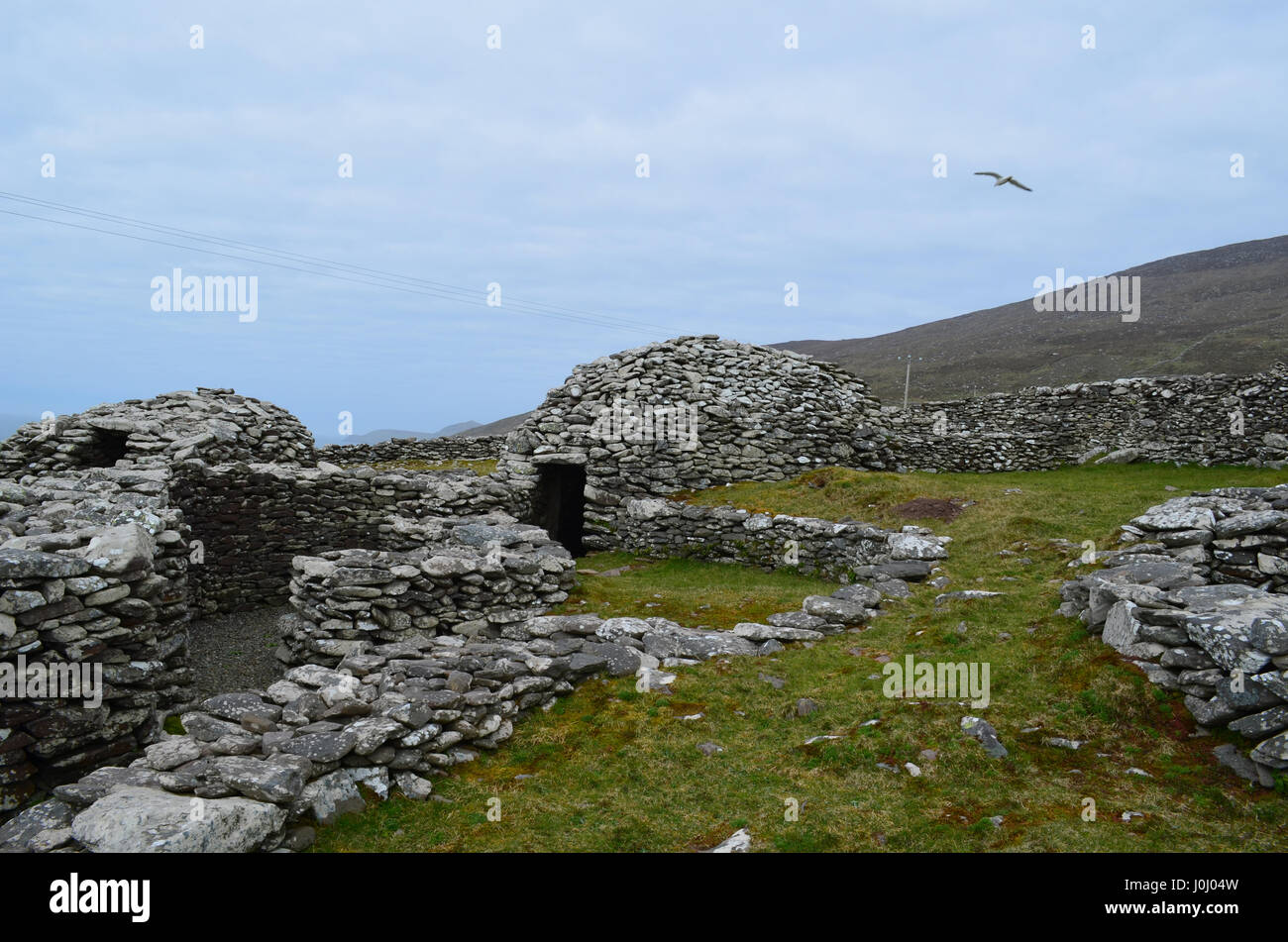 Collection of dry stone beehive huts almost fully intact on the Dingle Penninsula. Stock Photo
