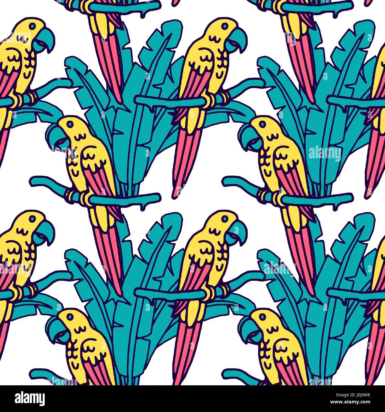 Parrot macaw, vector illustration Stock Vector Image & Art - Alamy
