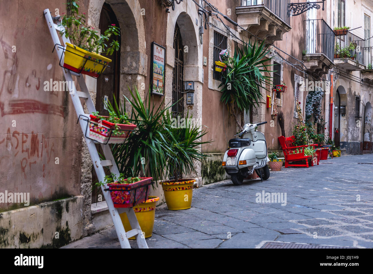 Green plants on a narrow street on the Ortygia island, historical part of Syracuse city, southeast corner of the island of Sicily, Italy Stock Photo