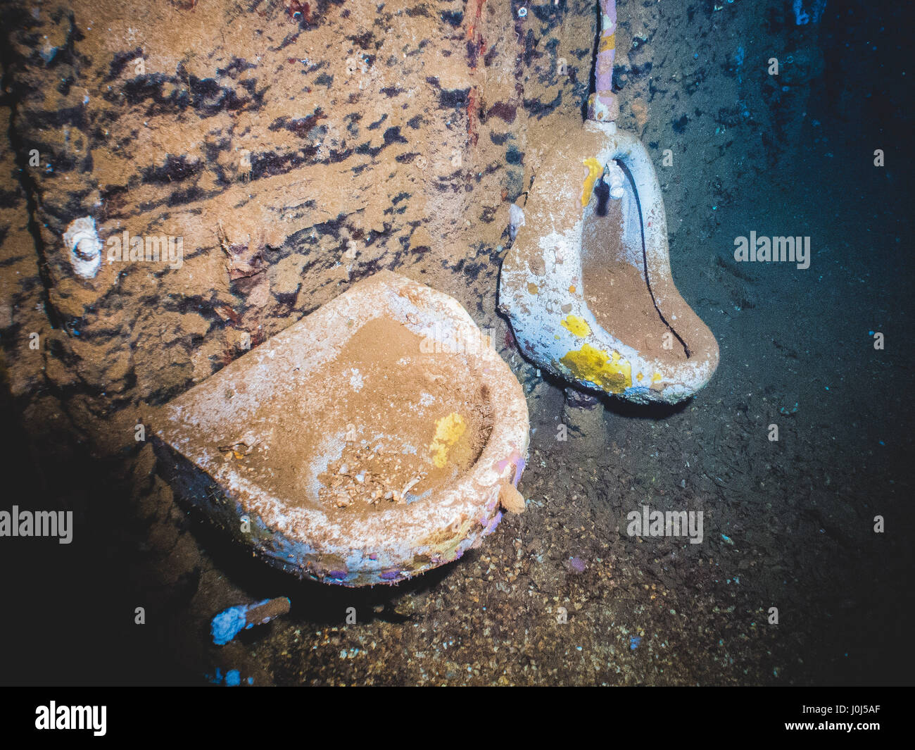 Weno, Micronesia. 15th Feb, 2016. Scuba diving pictures of corals, halcyons and fishes over the "Operation Hailstone" WWII wrecks in the True Lagoon, Micronesia Credit: Alessandro Bosio/Pacific Press/Alamy Live News Stock Photo