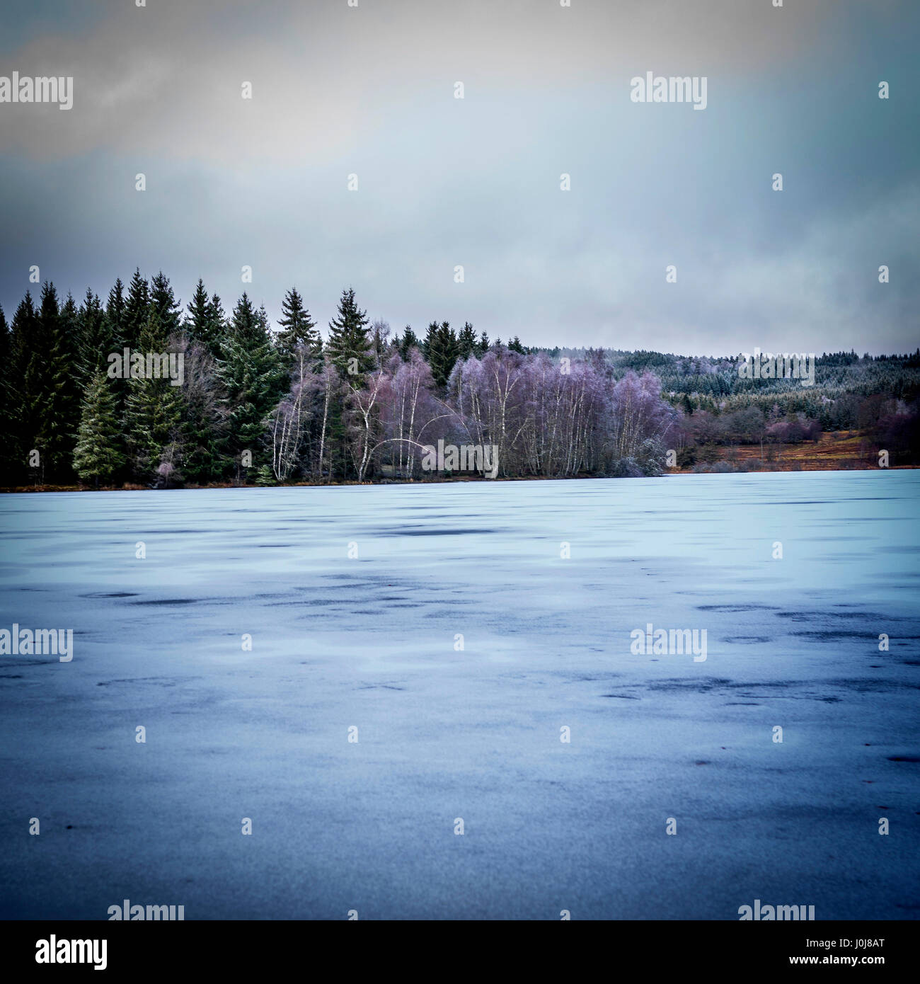 Winter landscape scene. Livradois Forez. Puy de Dome. Auvergne. France Stock Photo