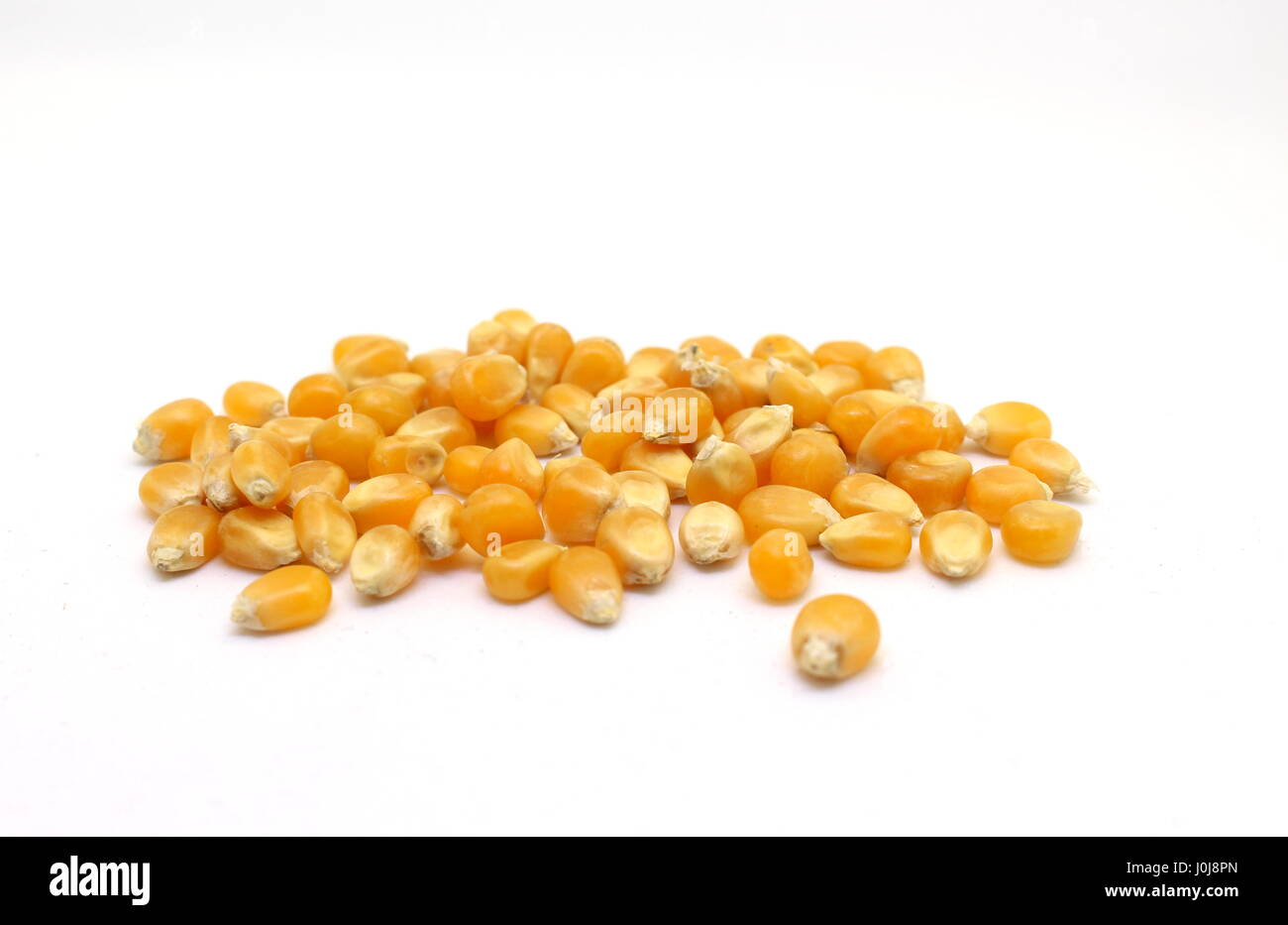 A photograph of a small mound of popcorn kernels, isolated on a white background.  Raw ingredient, food. Stock Photo