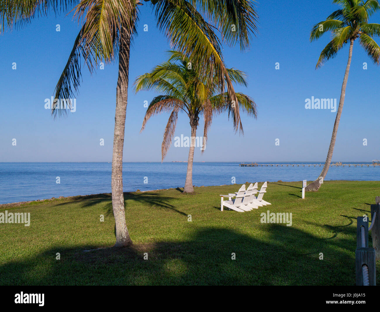 Chairs under palm trees at waters edge in Bokeelia on Pine Island in  the Southwest Gulf coast of Florida Stock Photo