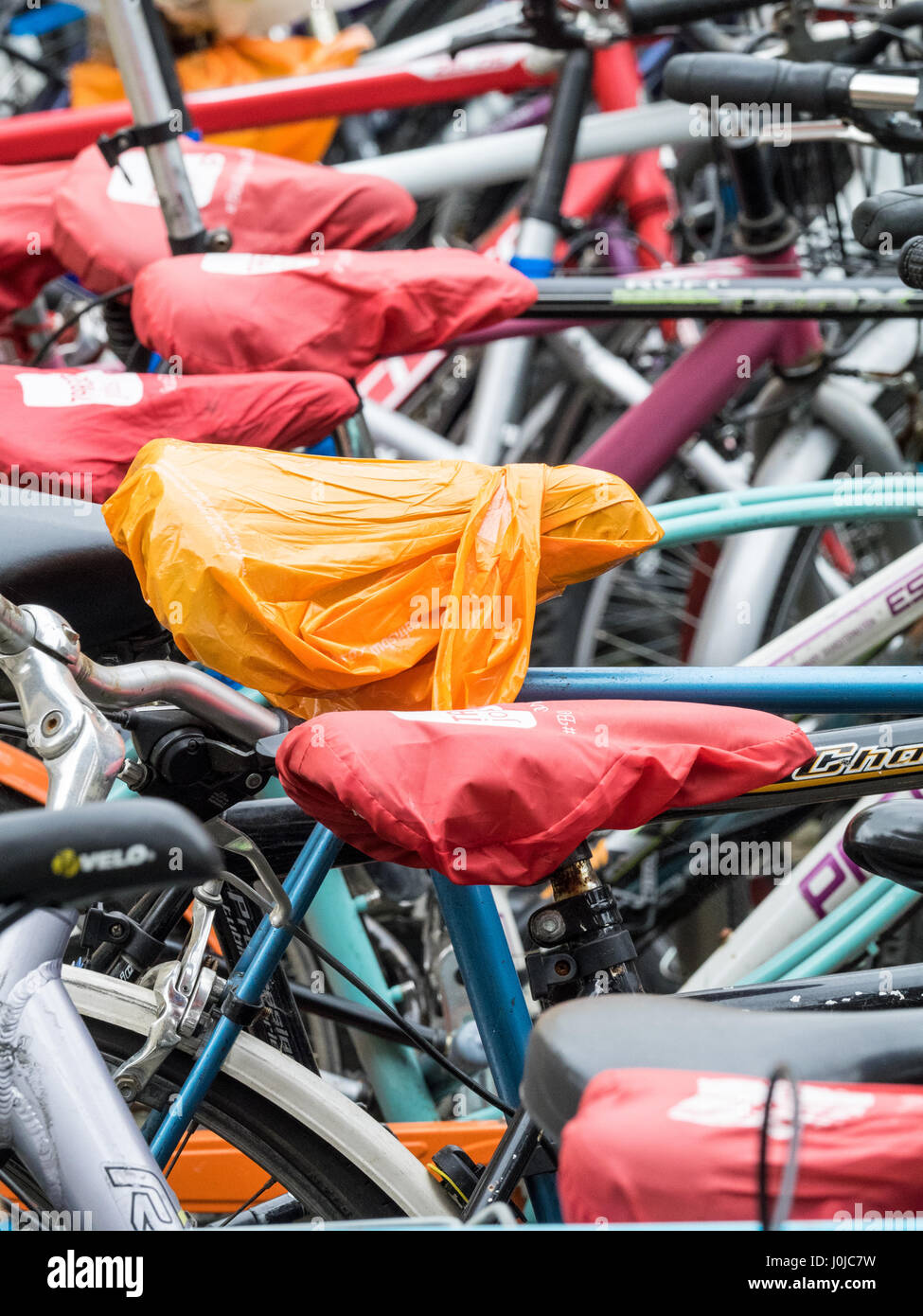 Student Bikes parked in Cambridge, UK. Seats are protected from the rain by removable covers. Stock Photo